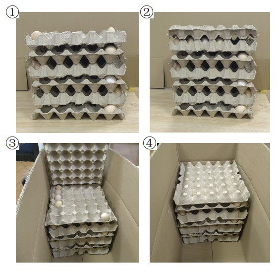 Egg Plate
