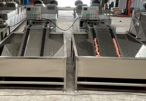 Egg Washing And Inspection Machine