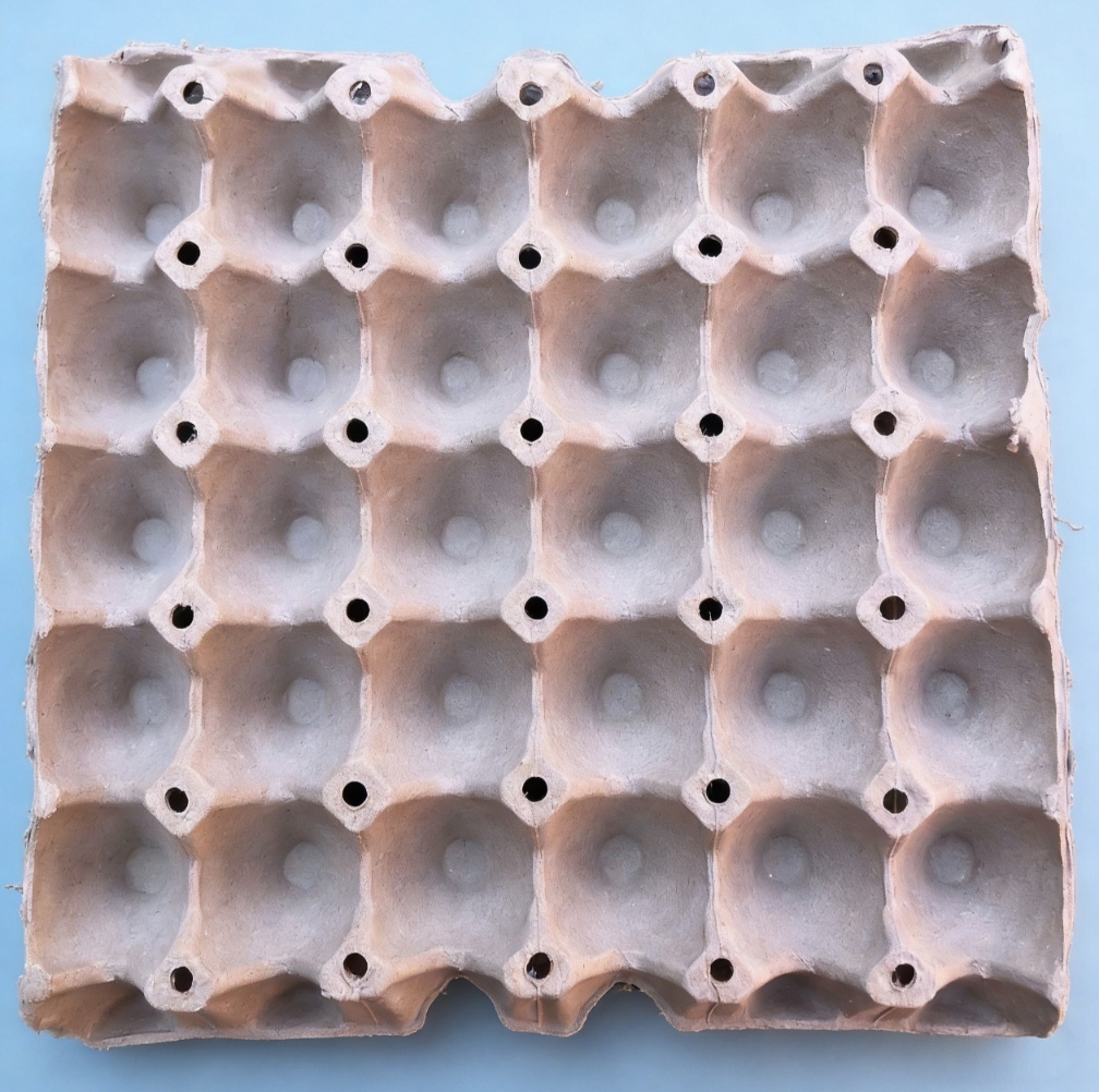 Egg Plate