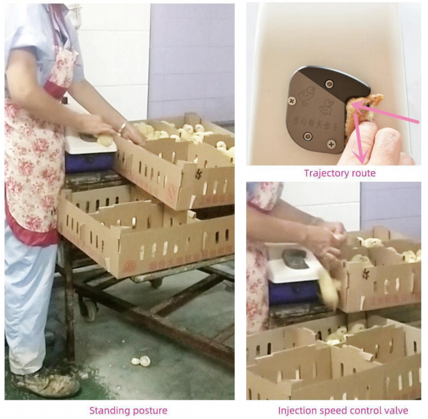 Automatic Chicken Vaccine Injector