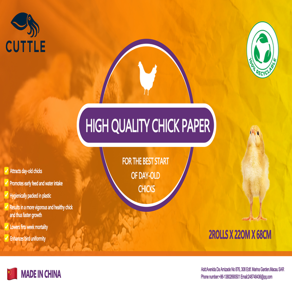 CHICKPAPER 100% RECYLED