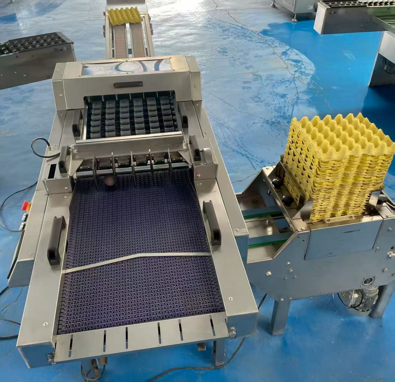 Egg Tray Loading Machine