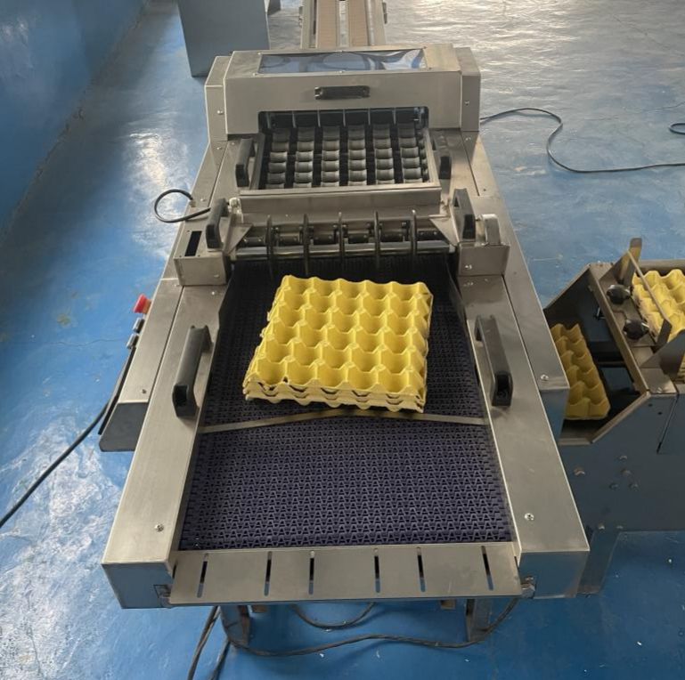 Egg Tray Loading Machine