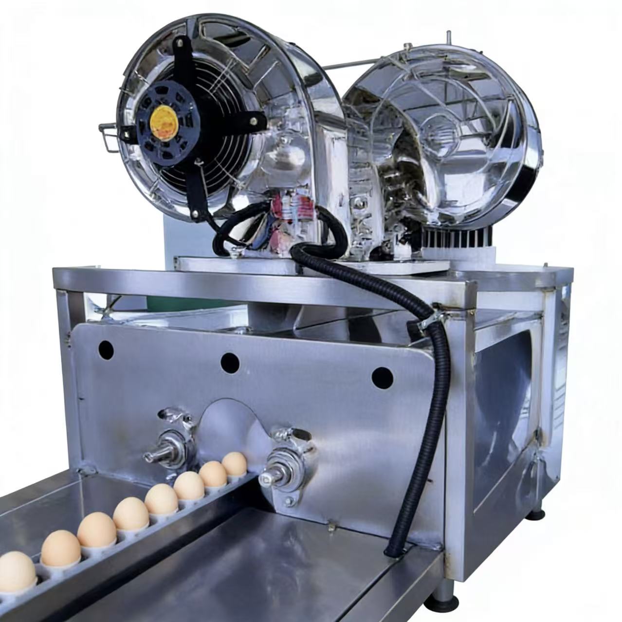 Egg Disinfection And Sterilization Machine