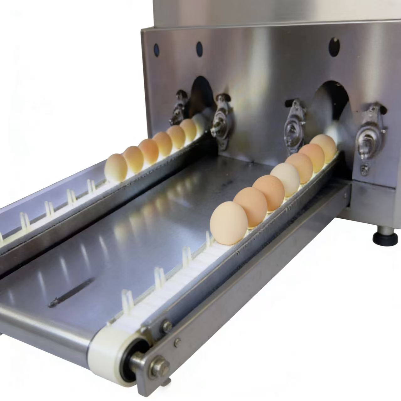Egg Air Dryer
